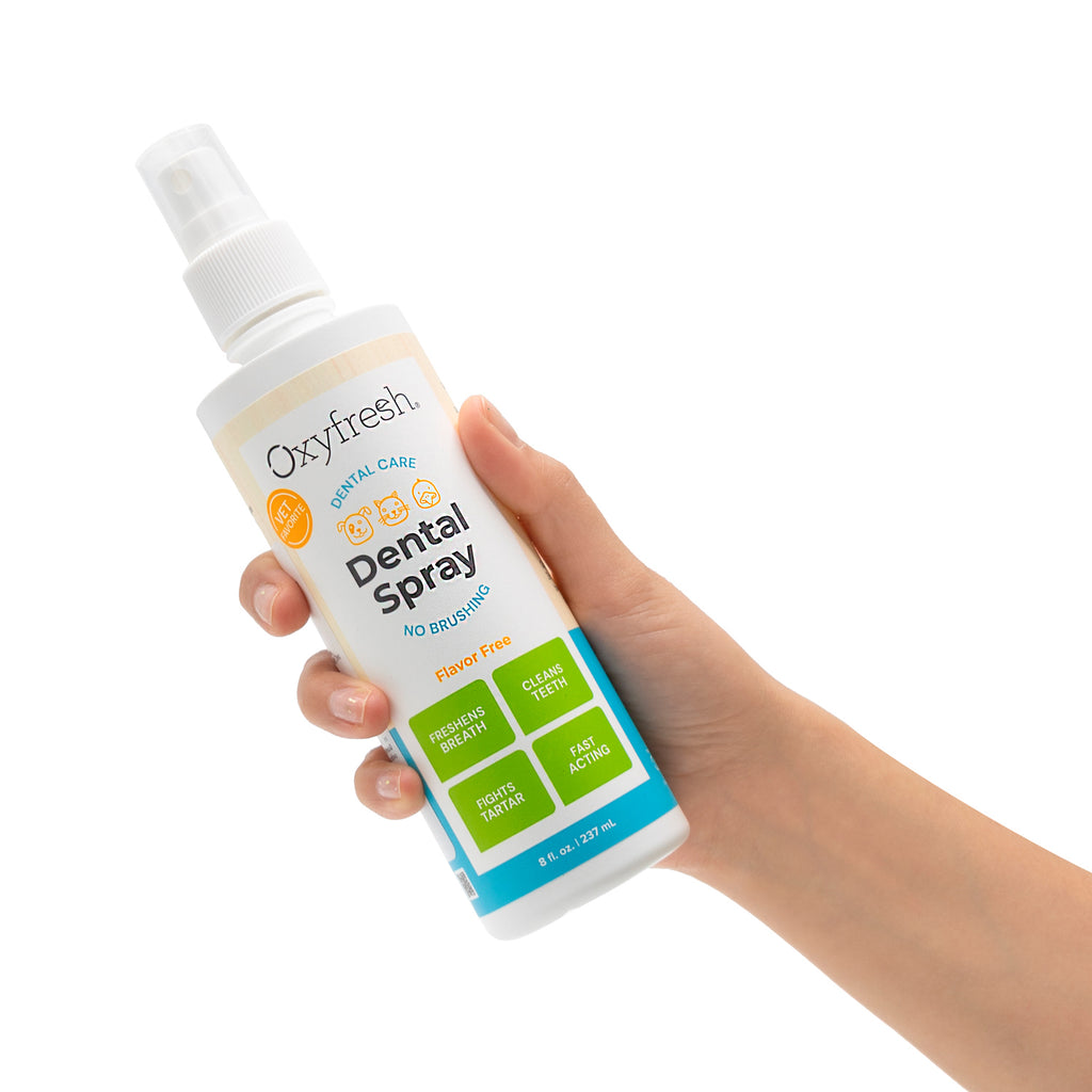 OXYFRESH SPRAY DENTAL