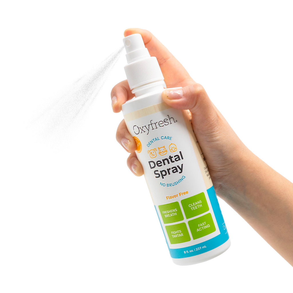 OXYFRESH SPRAY DENTAL
